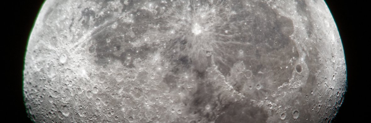 western_bug's profile banner image