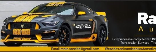 RaninSonsAuto's profile banner image