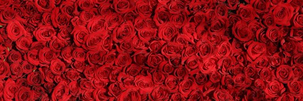 TheLustingRose Profile Banner