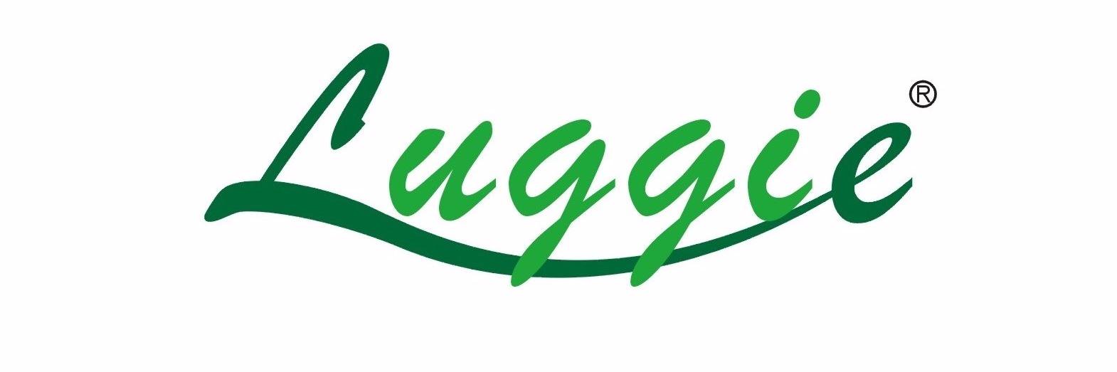 Luggiescooters's profile banner image