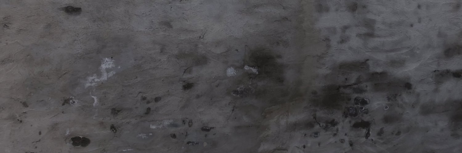 noirelol's profile banner image