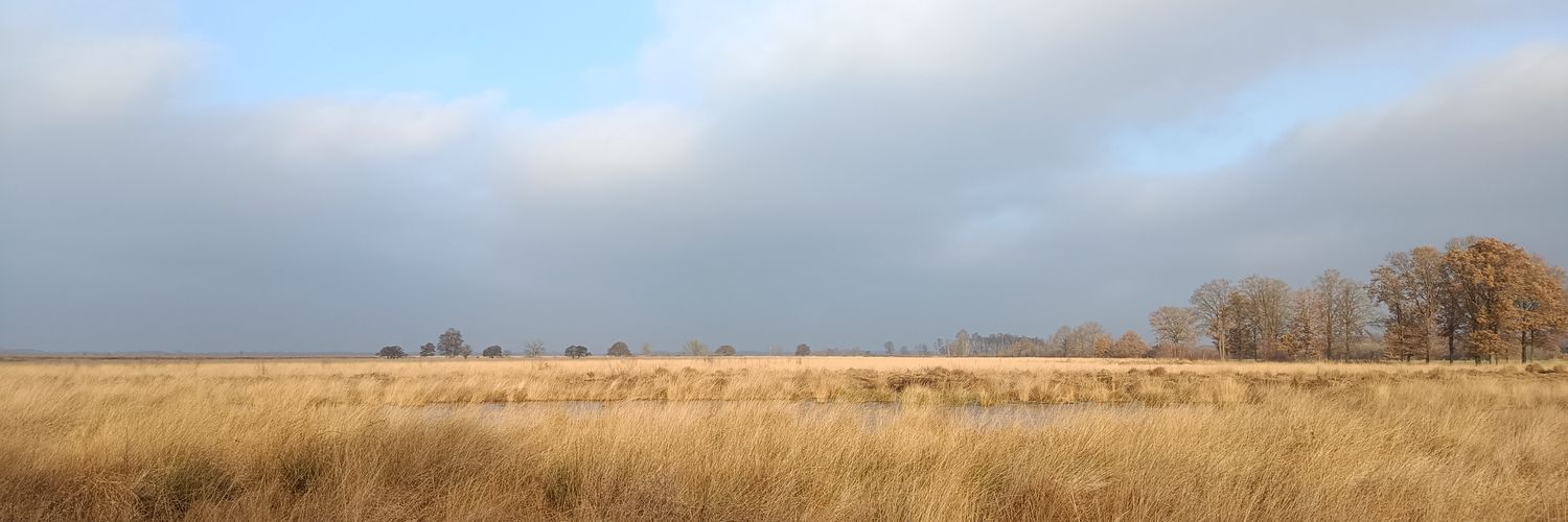 Advocaat Briedé banner
