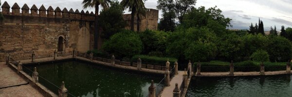 TaqiMJ Profile Banner