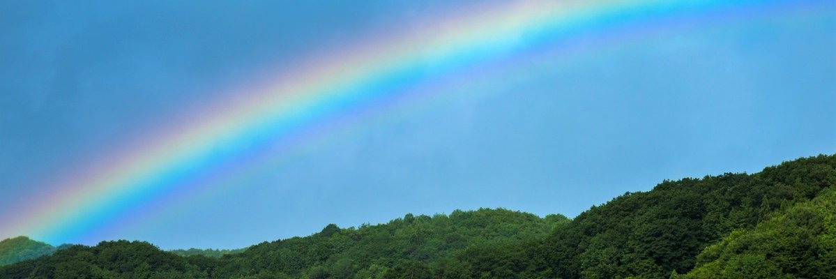 もっふー banner