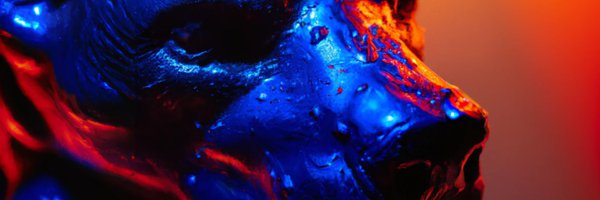 BigDFDMutt Profile Banner