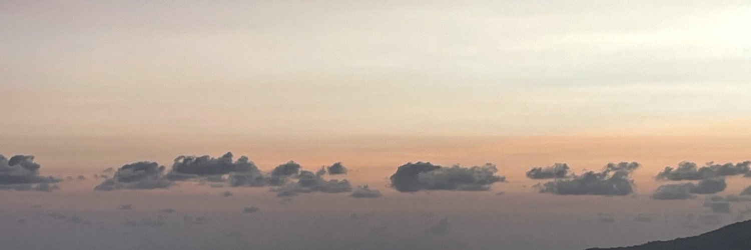 alyssashimi's profile banner image