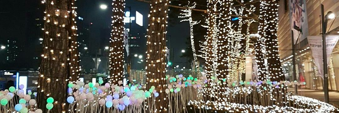 elfera chandra banner