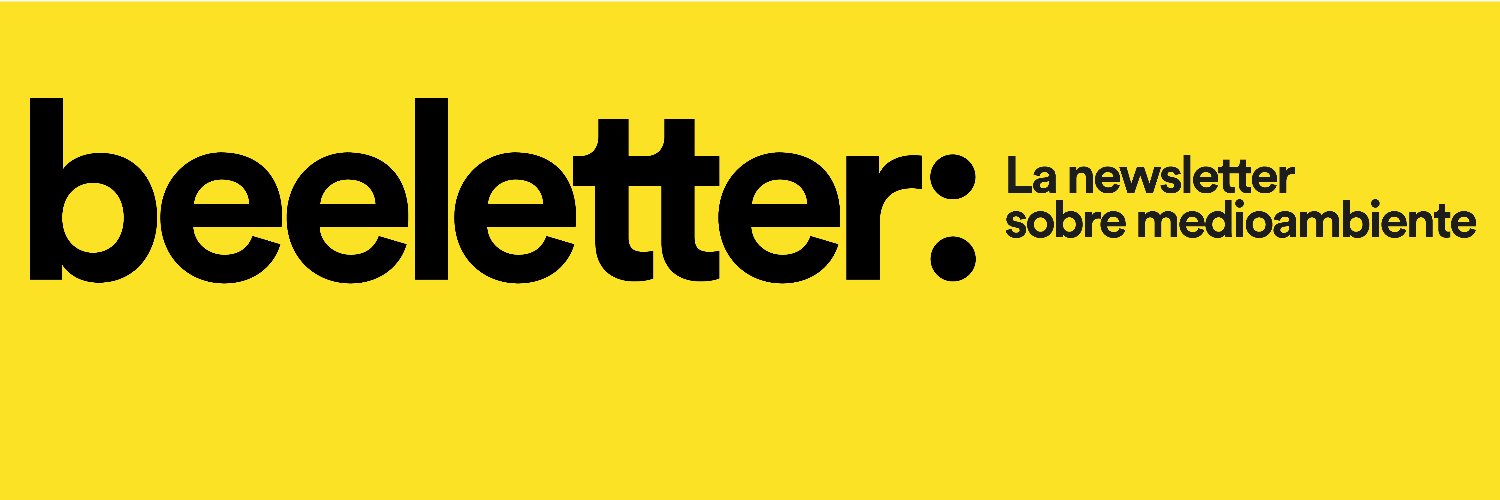 BeeLetter banner