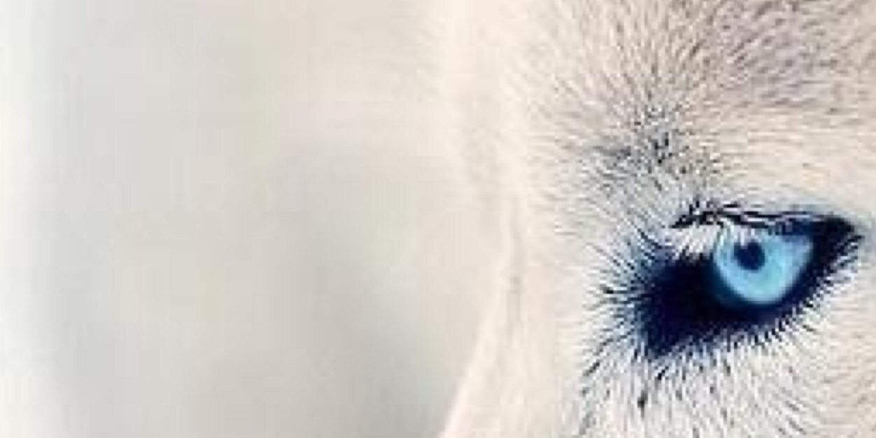 FeedbackisLIVE's profile banner image