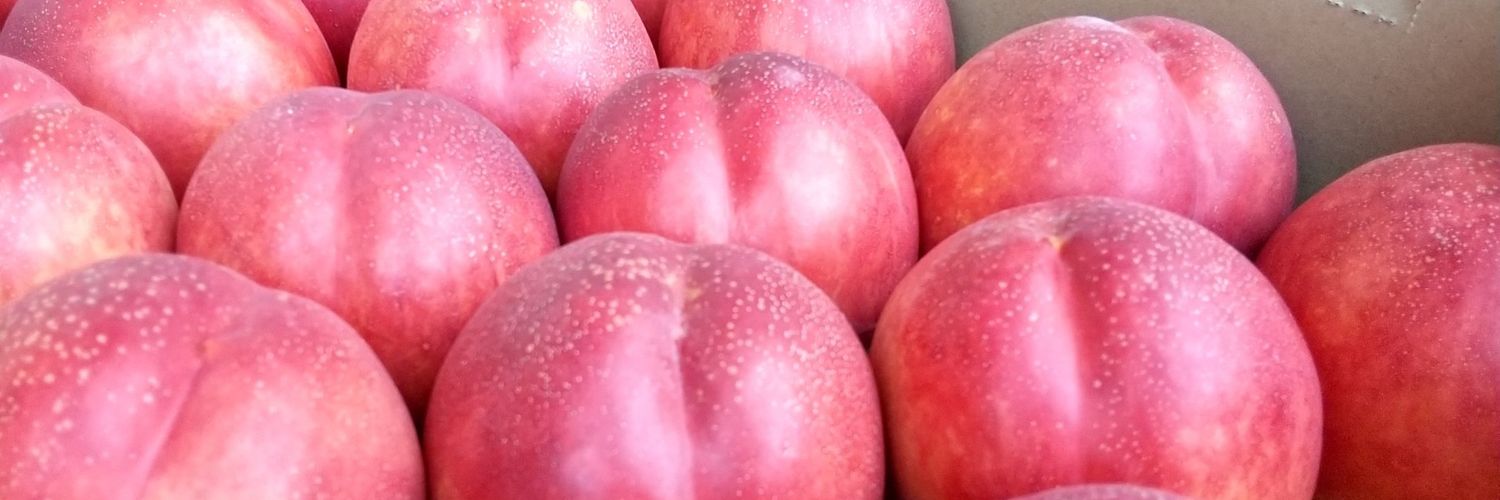 うめない*🍎零細果樹農家 banner