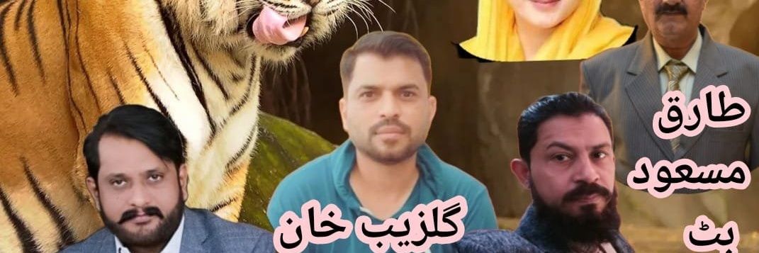 👊الامارات آفیشل گروپ 🅿 PML.N👊 banner