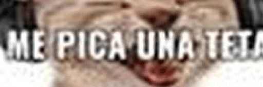 LindaSegundo2's profile banner image