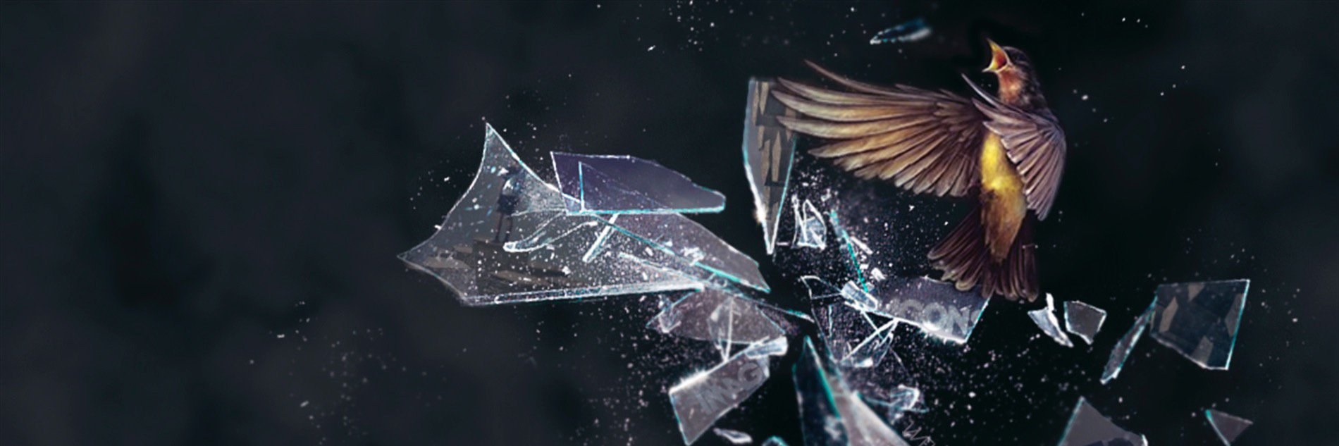 IDragons_Rus's profile banner image