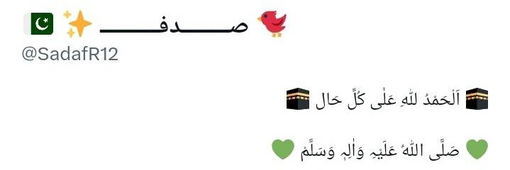 🇵🇰 نــــــدا مصطفٰی 🇵🇰 banner