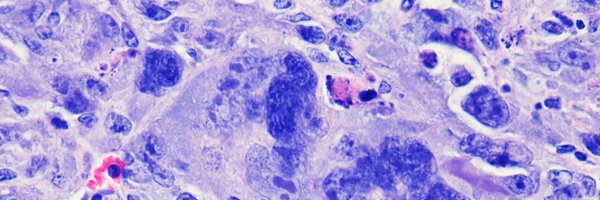 LabGenovese Profile Banner