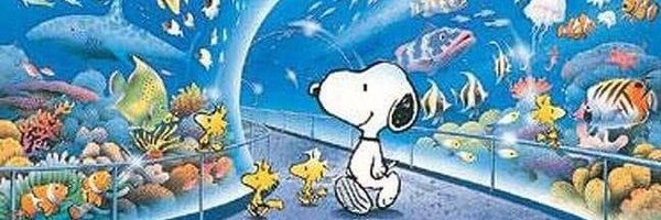 musteliday Profile Banner