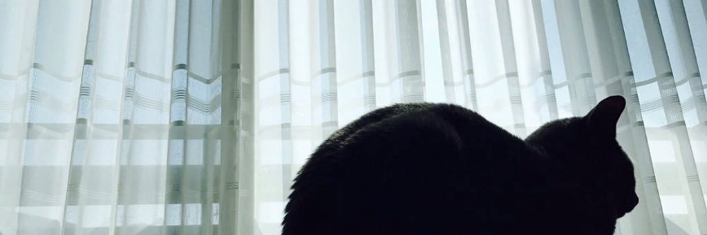 _dearylove's profile banner image