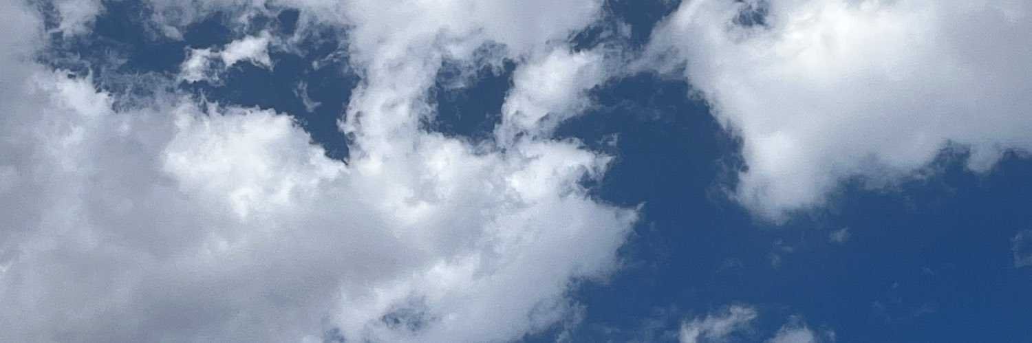 ElidetteC's profile banner image
