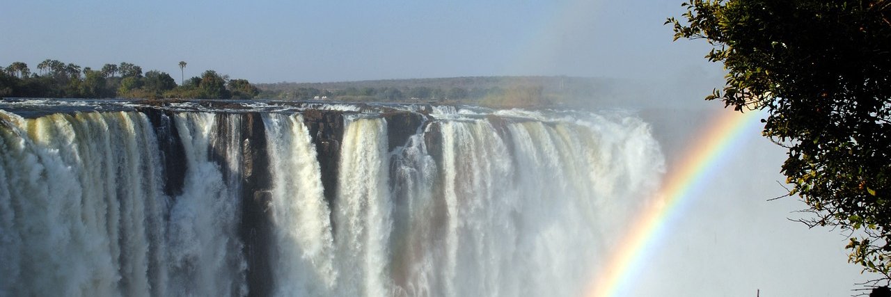 zim_pride's profile banner image