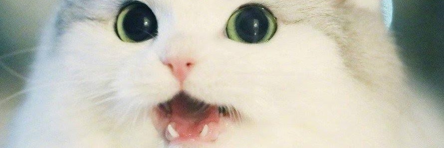 un_deiv's profile banner image