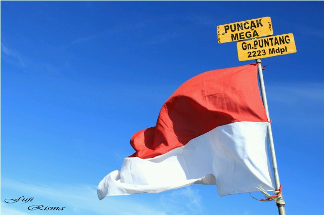 Fuji Risma banner