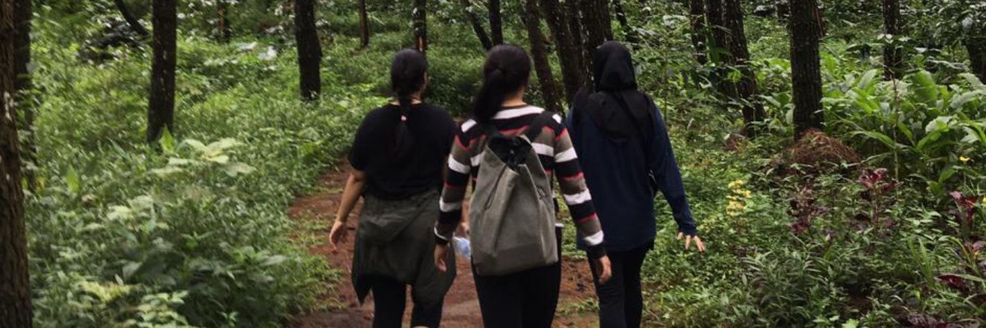 kalicaNFS's profile banner image