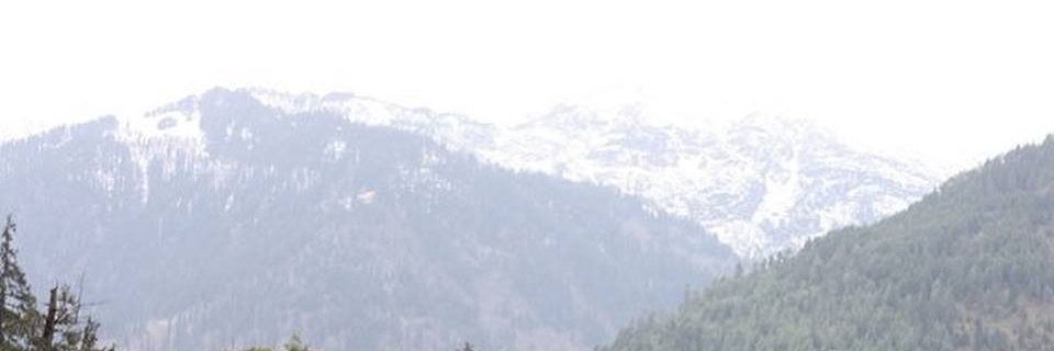 Maisy Bennett banner