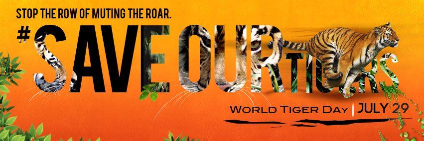 savetigerNDTV's profile banner image
