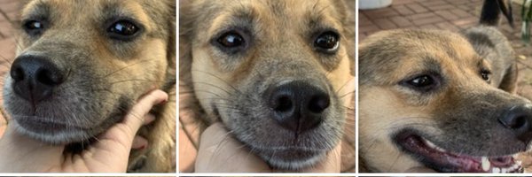 mvp88887 Profile Banner