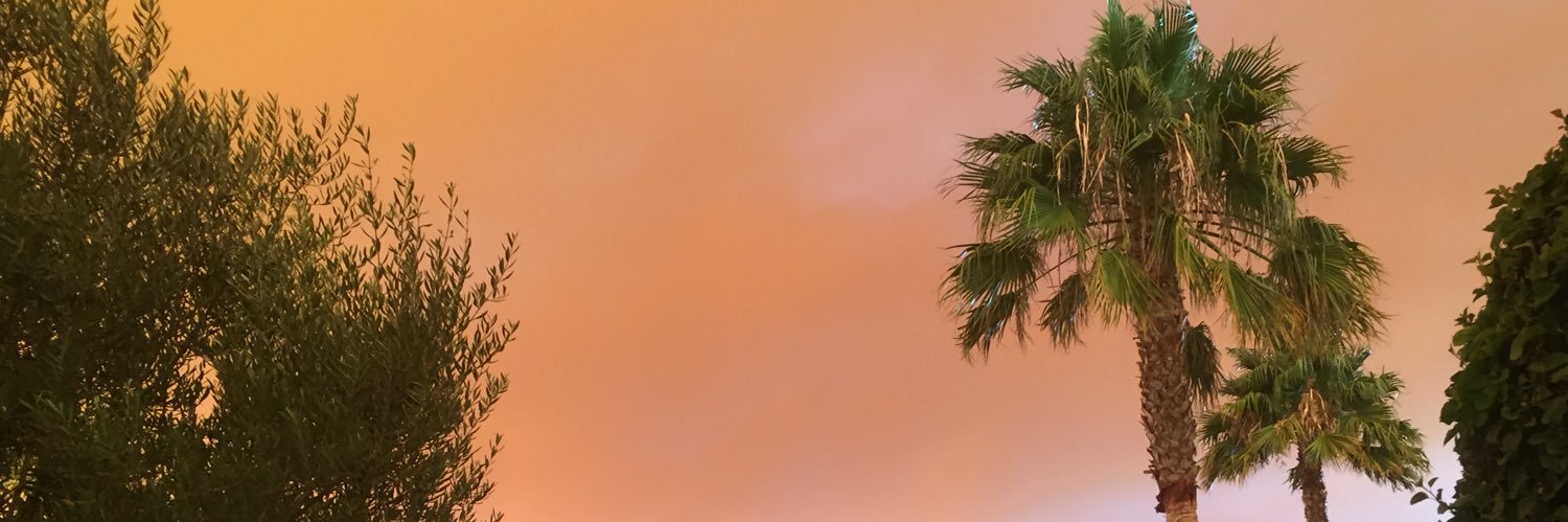 katnsoph's profile banner image