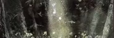 ionfuckoff's profile banner image