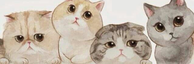 SasaOhSasa's profile banner image