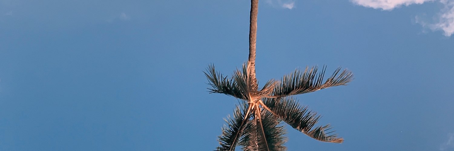 _ayachaloha_'s profile banner image
