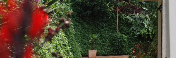 somutka Profile Banner
