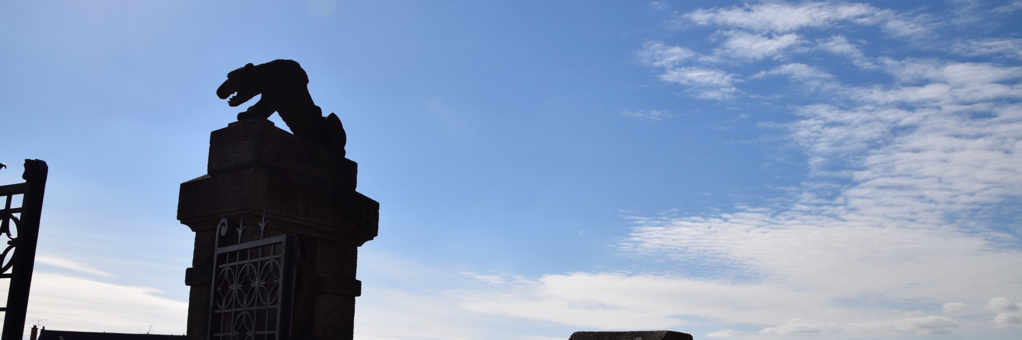 Thomas Ribierre banner