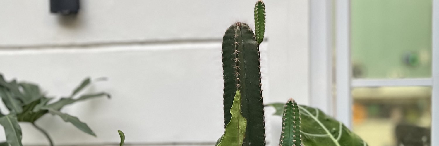 dededellaaa's profile banner image
