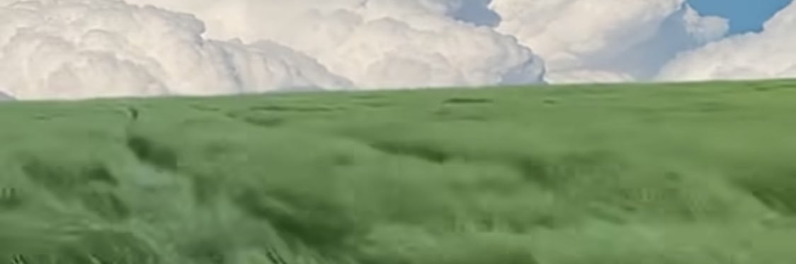 chichinyuu's profile banner image