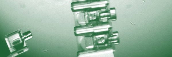 Fertilisivf Profile Banner