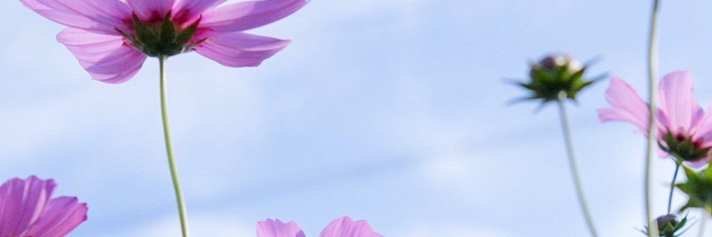 井畑テツヤ👏Clap banner