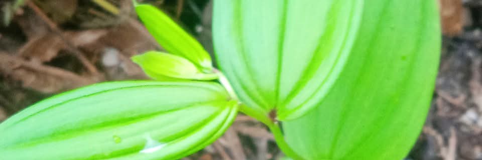 ANONYMOUS.™️ banner