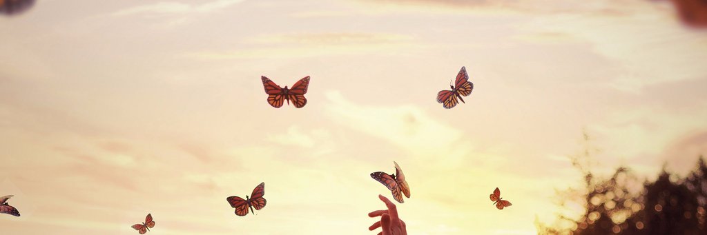 xharrysapple's profile banner image