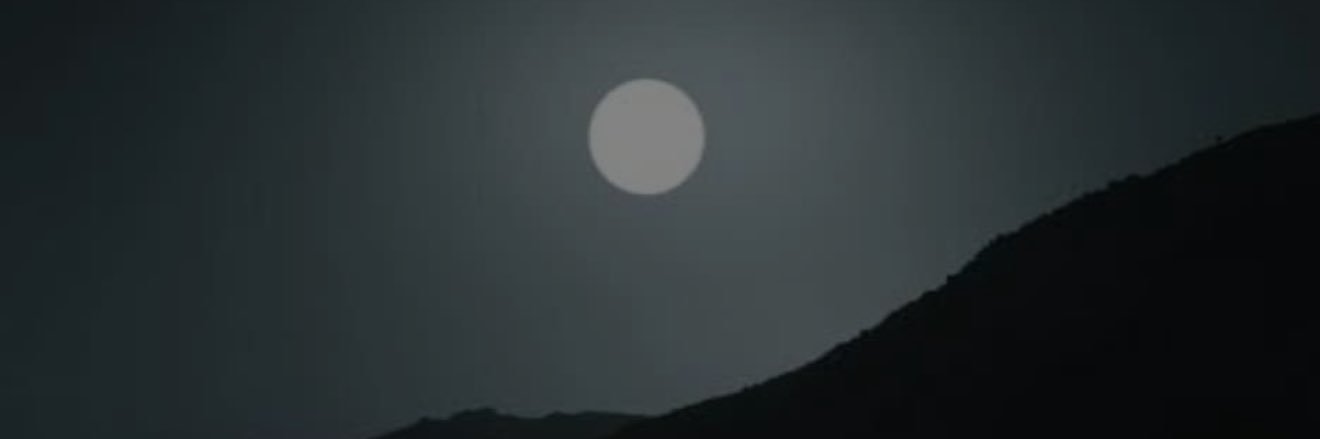leylaayaz56's profile banner image