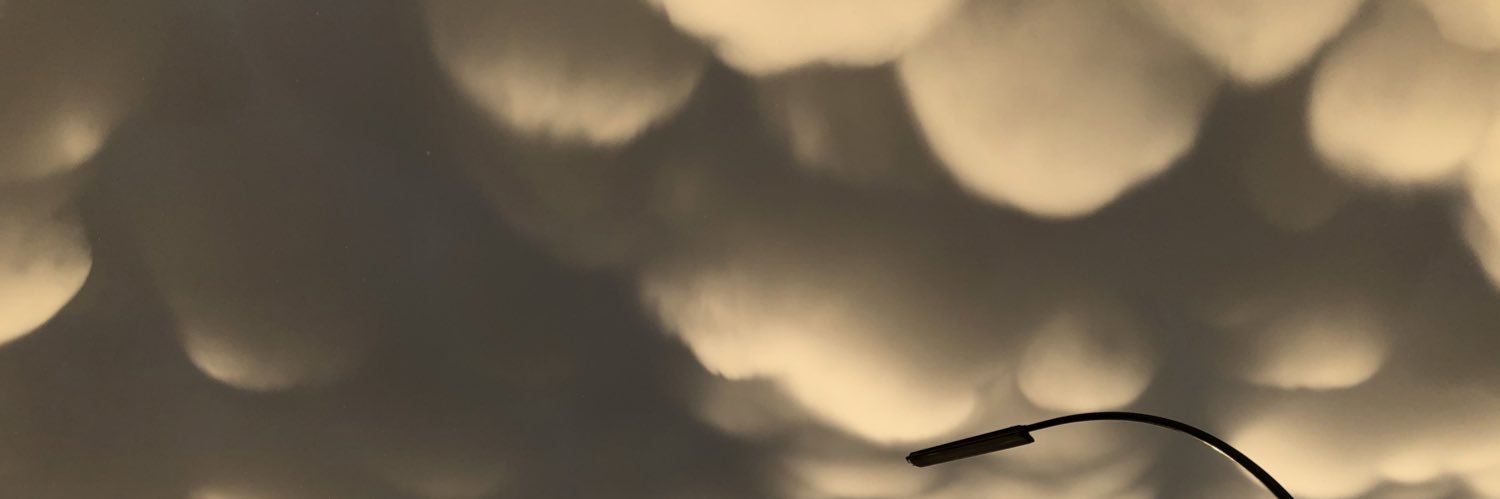 ninamonaghan's profile banner image