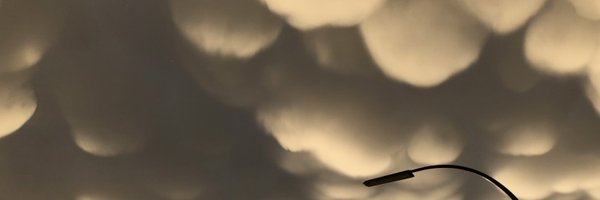 ninamonaghan Profile Banner