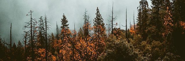 SonderSpirit22's profile banner image