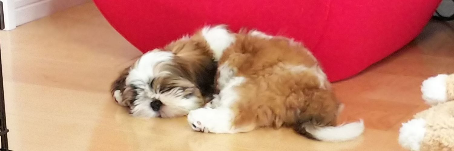 こなつのおかん banner