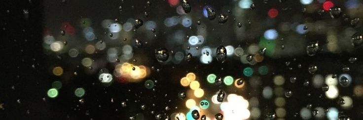 MeerkatT_T's profile banner image