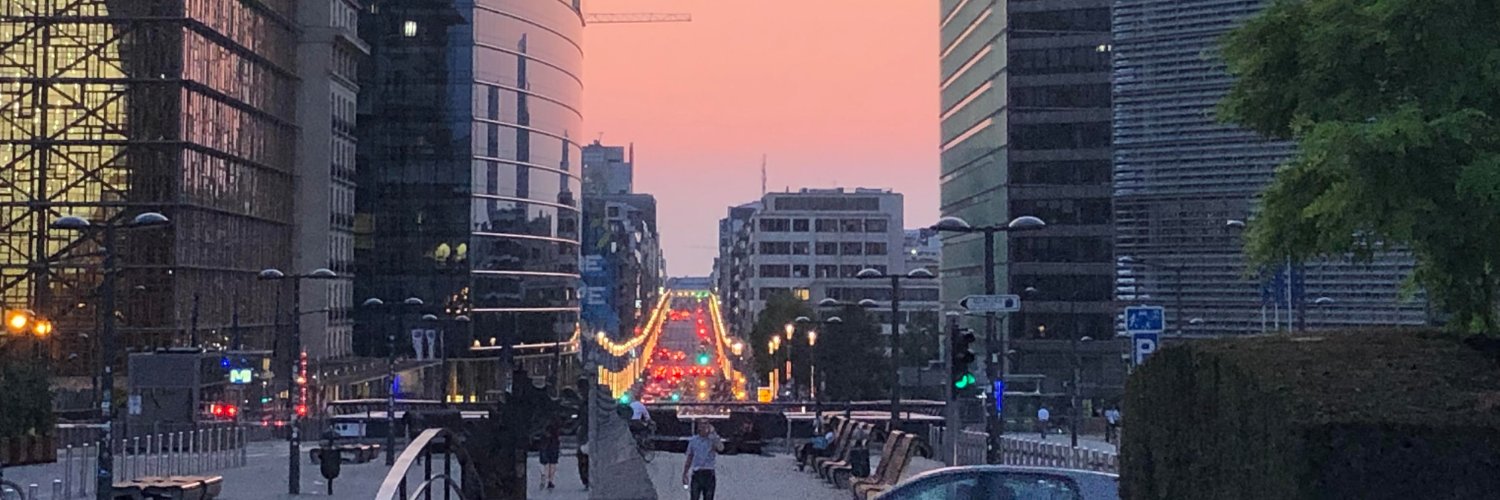 Sam Fleming (FT) banner