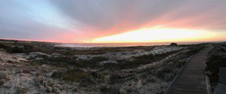 Martin Coetzee banner