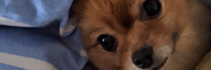 ☃❄マル☃❄ banner